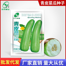 合丰种业 绿皮青皮菜瓜种籽老品种菜瓜籽种子脆瓜腌制蔬菜种批发