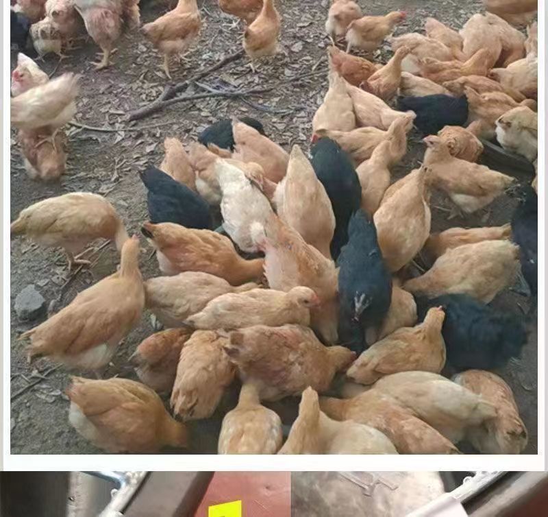 dd0219d1-f11e-4f21-8fe0-0b5f97a88411.jpe