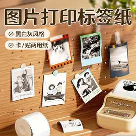 精臣B21Pro照片打印纸图像图片相片不干胶贴纸标签纸热敏专用高清