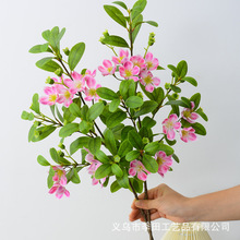 �����ҽ���S��ֱ�N�F؛�٘��֦��ؾGֲ����ǰ̨�����[���b�