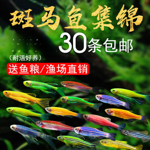 �Ꭷ�^�p�~�t�{���R�~С�ͽ��~���^�p�~������Ʒ��ȸ�t�G����