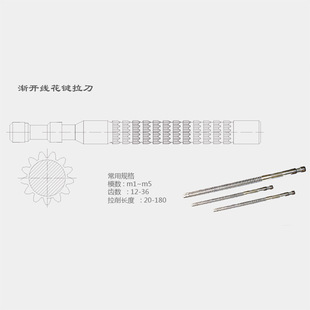 Потягивание ножа из нержавеющей стали выпускной базы Barlier Spiral Inner Horchi Double -Flat -Flat Lifstan Double -Flat производитель производителя Настройка производства