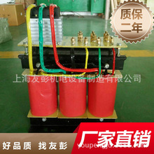 双绕组整流三相励磁变压器380变100V直流变压器25KW30/80/100KVA
