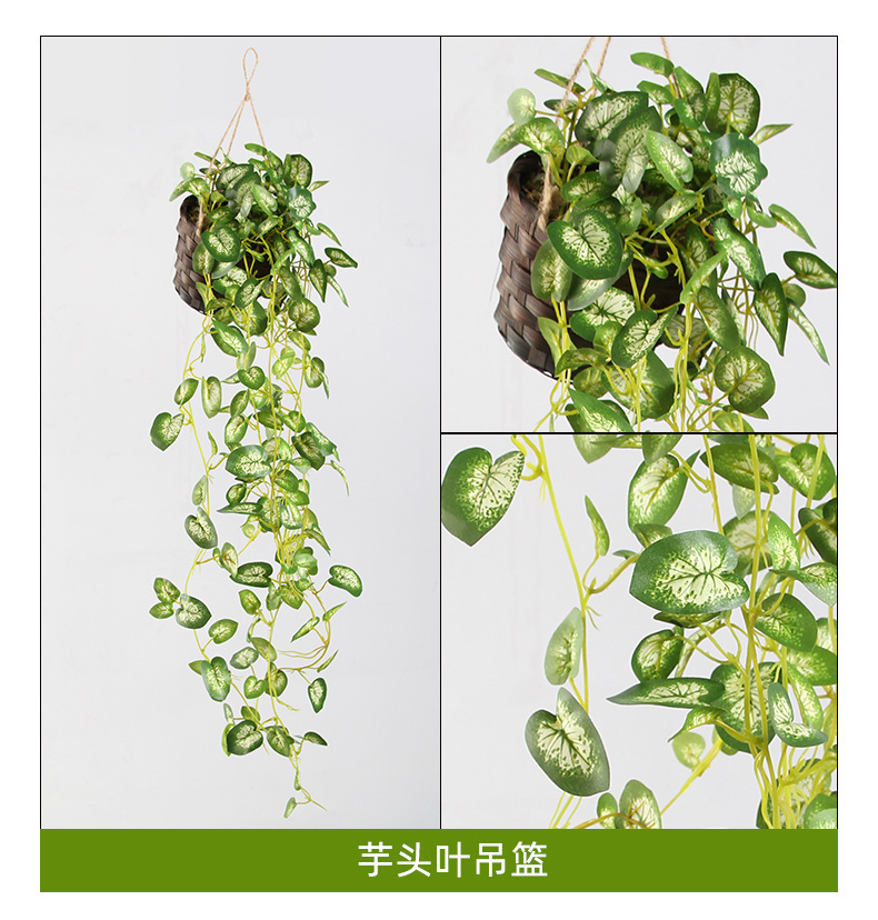 O1CN01T3aZxd1zidKL6ixYI_!!2159