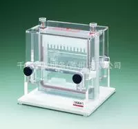 AE-6220 Резервуар для электрофореза Rapidus с двумя пластинами, гель 13×14 см