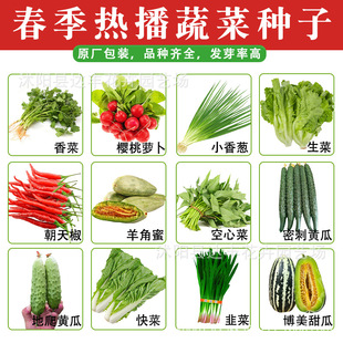 �����ļ��߲˷N�Ӵ�ȫ���l�S��ֱ�l�ļ����Ѵ�ȫ����ѿ�ʸ�