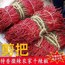 �½��خa΢��������G�l��Ƥ�Ӳ����ĸ����������������������Օ�