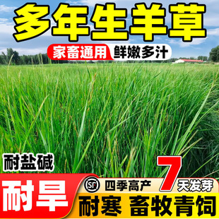 ��ݷN�џoâȸ�����|���|é�ݼt�������ݹ��̾G���o�¹����ݷN��