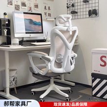 人体工学椅舒服久坐舒适电脑椅家用可躺座椅办公椅靠背椅电竞椅
