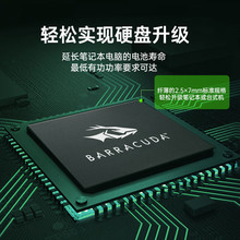 适用SATA 希捷SEAGATE 酷鱼SATA  256GB/512GB SSD 固态硬盘