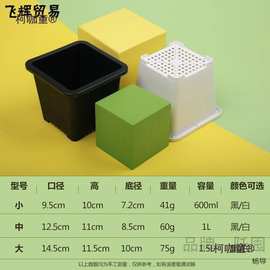 多肉花盆景天小方盆大号老桩韩式仙人球多肉小白方盆塑料黑麦太保