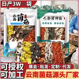 菌汤包云南特产干货批发七彩菌菇汤料包松茸汤包厂家直销特选