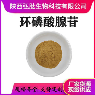 �h�������� ��Ҏ�� �t����ȡcAMP�h�������٭h��60-92-4 �F؛