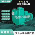 BPZ1.5/2.2KW中威泵业WLPUMP变频自吸泵恒压管道深井抽水增压泵大