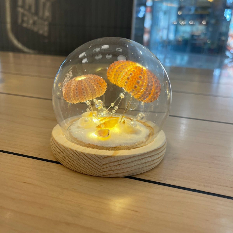 新年春节摆件贝壳diy海胆壳发光小夜灯材料包生日礼物送女友|undefined