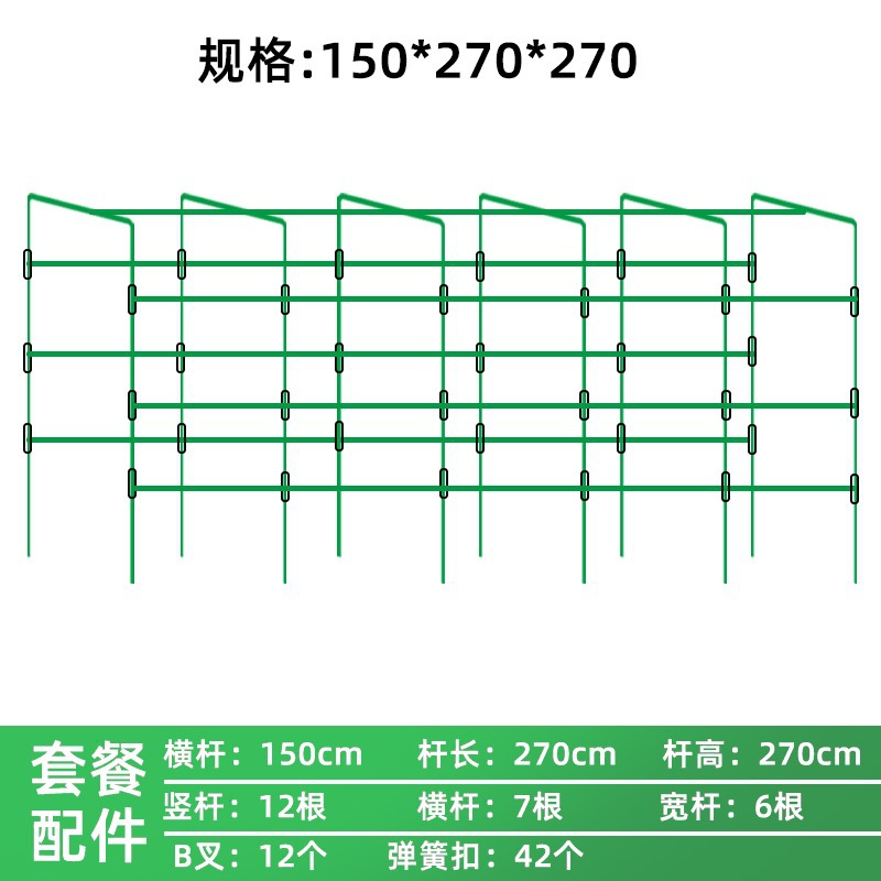 직경 20 x 너비 150 x 길이 270 x 높이 270 [6x7x12] - 특대형