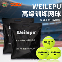 Odear欧帝尔网球 V6 网球 专业无压训练网球 高弹耐打网球训练球