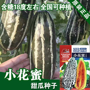 �������ϷN���������Ǵ�������ַN����ϷN���߲˷N�����l��