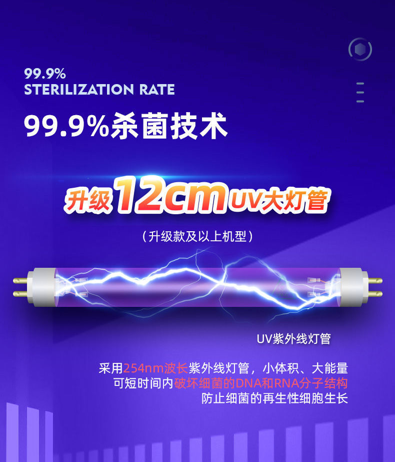 da066686-dabf-440e-817d-805b2a0068a1.jpe