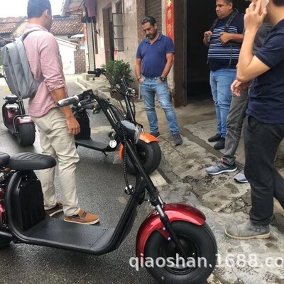 Manufactor Foreign trade Exit EU EEC Certified Harley CITYCOCO SCOOTER Electric Motorcycle Lithium