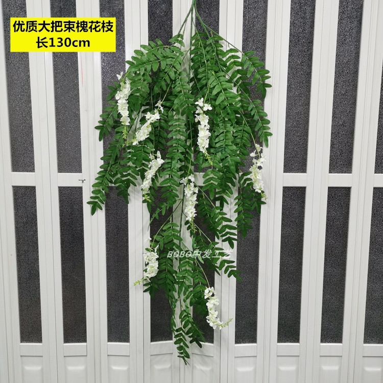 하이 퀄리티 큰 무리의 Sophora japonica 가지 흰색