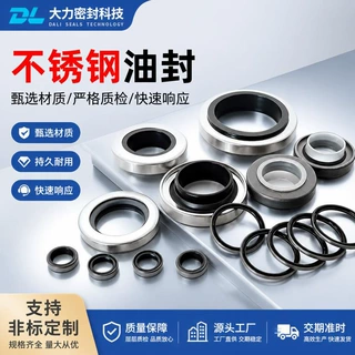 304不锈钢骨架油封PTFE铁氟龙内衬高速轴封风机化工泵不锈钢油封
