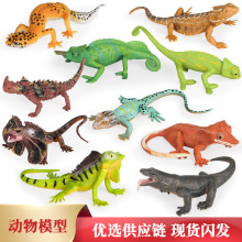 �������ģ�̓�ͯ����،m������׃ɫ�����������Ī������ɪ{��