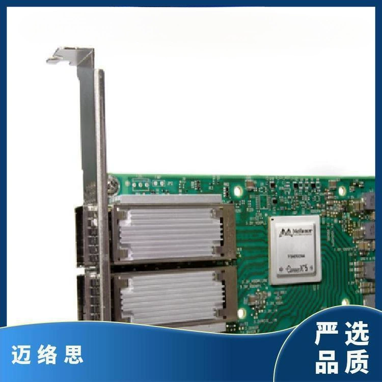 mellanox Сетевая карта Mellanox MCX556A-ECAT 100G IB с двумя портами