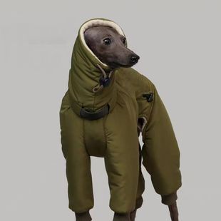 Autumn and Winter Pet Clothes Handsome Cool Charge Clothes Golden Retriever Labrador Alaska Medium and Large Dog Clothes