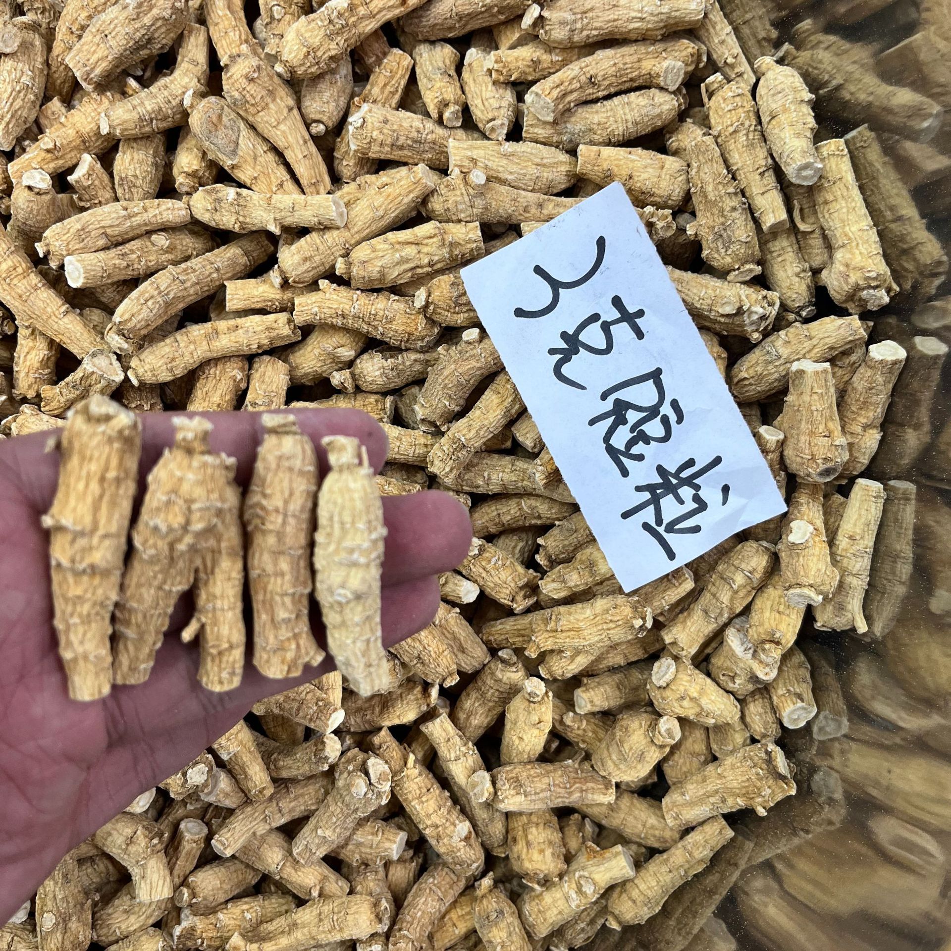 American Ginseng Root Heads (Panax quinquefolius) — Whole Xi Yang Shen Pieces for Tea & Soup overview