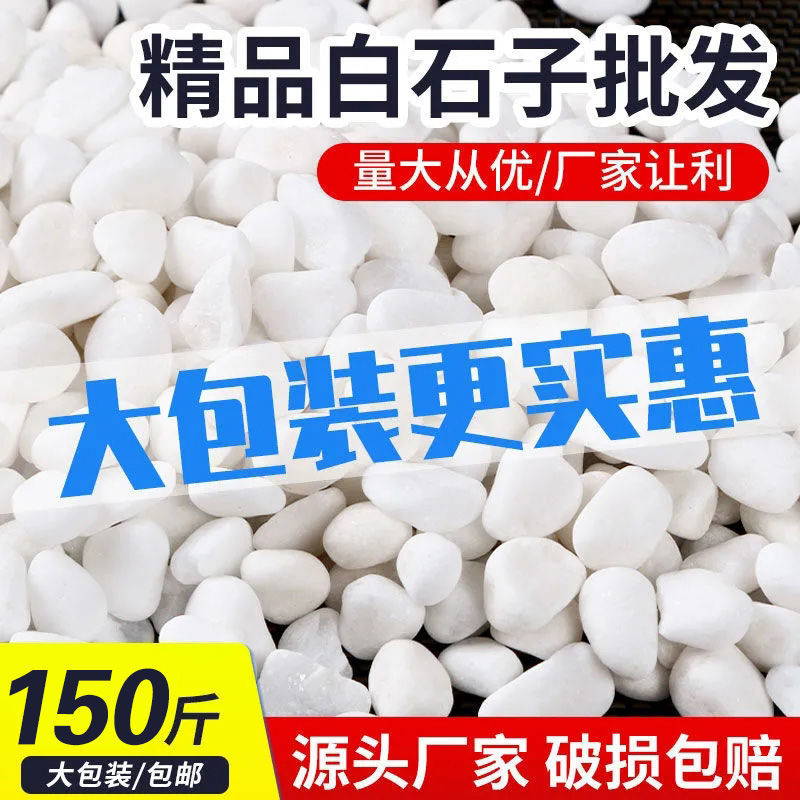 150斤白色石子鵝卵石造景庭院鋪路鋪地白石頭園林枯山水石子批發