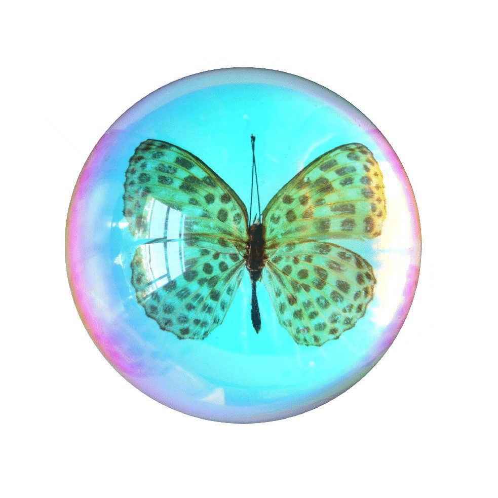 Cat Butterfly [bubble bag simple packaging]