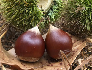 �������l���Ե��԰����� �ϱ��Nֲ������ �޽Ӱ����� �S�������