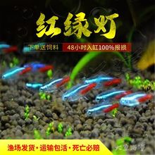 �t�G���~���w50�l�bС�͟����~�Ꭷ�^�p�~���R�Gɏ��Ⱥ�βݸװ��]