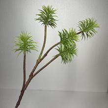 �����������ֲ�������� ��֦�Gֲ����ӭ�����쾰������ʽ����