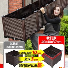 ����N���仨�����Nֲ�����ش�ͥԺ�̨�B���������ь����L����