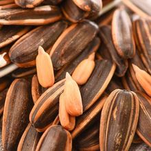 ����ɽ���ҹ��ӿ��������l�������1�����e��ʳ�Թ�