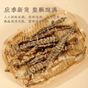 ���������x�݅�������ݲ費�ϲݻ�ꖲ���ꖲ��ݾƟ����ݾ���