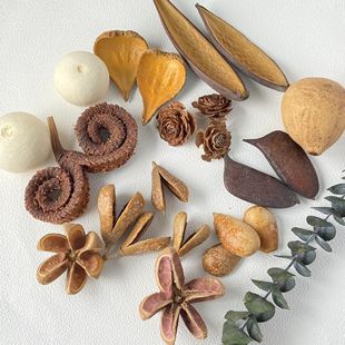 �M��ֲ��ɹ��˱����diy�b� �����diy���ϲİ����l��Ϧ�ɻ�DIY