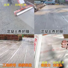 ����Ĥ�B�o��Ĥ��Ĥ���B���ϱ�Ĥ�������B�oĤ���B���o���w�B��Ĥ