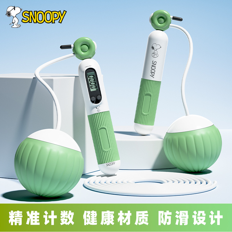 Cordless Skipping Rope for Weight Loss, Adult Fitness Exercise, Indoor Fat-Burning Counter, Weighted Version for Women, Aerobic Rope