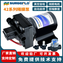 42o늄ӸĤ÷܇ֱͧ12V24VbCʽˮ