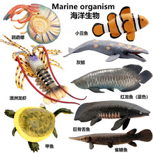 仿真PVC实心海洋动物小丑鱼澳洲龙虾红龙鱼甲鱼螺模型启蒙教玩具