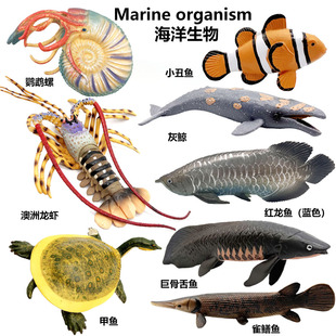 ����PVC���ĺ������С���~�������r�t���~���~��ģ�͆��ɽ����