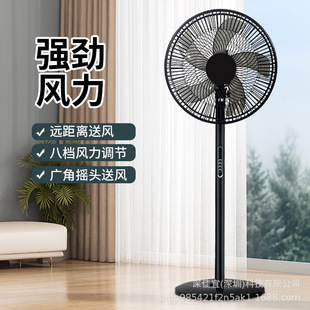 16���b������ȶ��n�{���o�����L�羳���N�S��ֱ�����Q������ُ