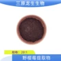 不老水溶野樱花楸提取物