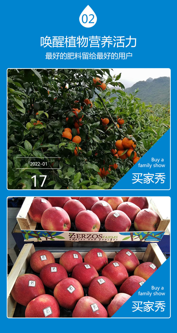 ����������ҳ_06