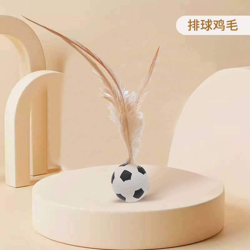 탄력있는 축구