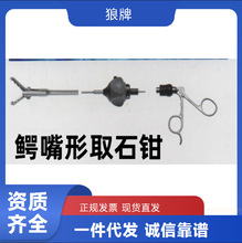 ���������Wolf�ȸQ�R���g��е�{����ȡʯ�Q8954.6802һ�����l