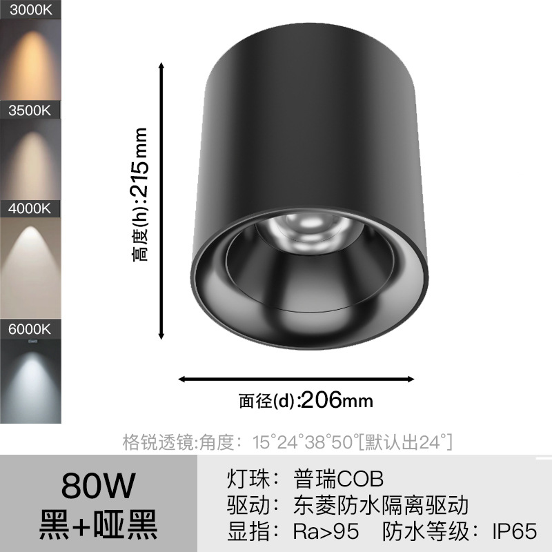 LED luz de techo impermeable al aire libre baño hogar baño techo tienda al aire libre cob luz de techo de techo